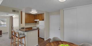 4200 Paradise Gallery 10