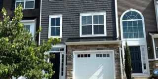 56 ANDREWS Place Gallery 1