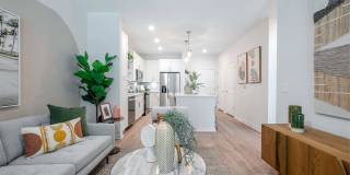 Alta Citron Gallery 44