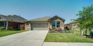 3352 Lauren Nicole Ln Round Rock, TX 78665 Gallery 1