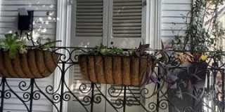 2335 CHARTRES Street Gallery 1