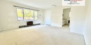 Bright 4-Bedroom, 2-Bath Single-Level Home with Bonus Room – Palo Alto Gallery 14