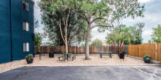 Parkwood Plaza Gallery 9