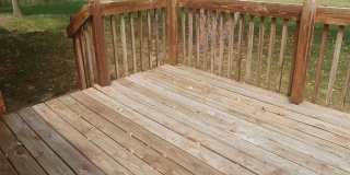 Ozark- Look at this beauty! Gallery 8