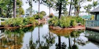 Lake in The Woods Lake in The Woods Gallery 18