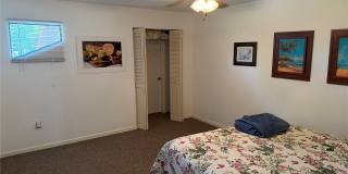 804 PALM HARBOR COURT Gallery 16