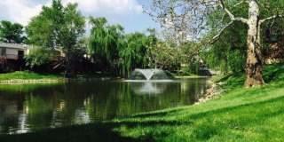 1005 Lakefront Drive Gallery 45