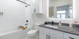 Vireo Medical District Gallery 17