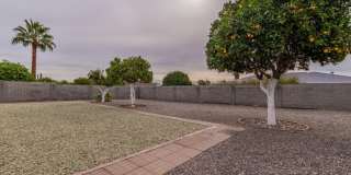 10441 W Burns Drive Gallery 20