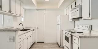 Rise on Cactus Gallery 80