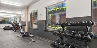 Baldwyn Gallery 75