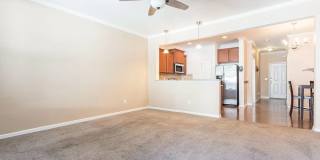 Room in 4 Bedroom Home at Warm Springs Ln Gallery 19