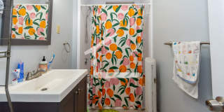 Packards Corner Apt w Large Rooms and Ht/HW Inc!  Perfect for BU students Gallery 6