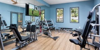 Avalon Camarillo Gallery 14