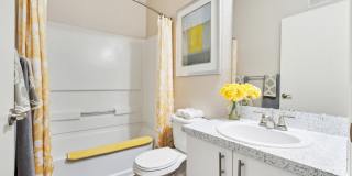 Vista Lake Ned Gallery 44