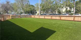 802 N Glassell Gallery 15