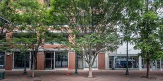 Modern Downtown Memphis Condo with Prime Location Gallery 3