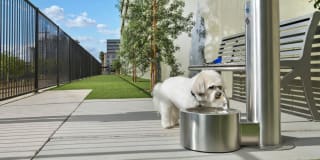 District at Biltmore Apartments Phoenix Gallery 29