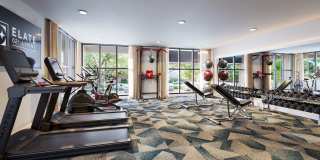 Elate Bent Tree Gallery 4