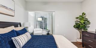 Stone Oak @ Parmer Gallery 13