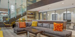 Ellis Bethesda Gallery 46