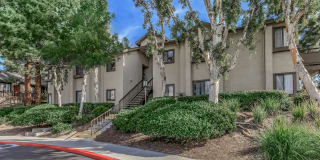 Spring Lakes Apartment Homes Gallery 4