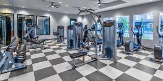 Carson Hills Gallery 20