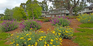 Beautiful Capitola Condo minutes from Capitola Village! Gallery 23