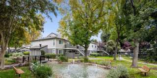 Sofi Berryessa Gallery 19