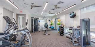 Enchanted Springs Gallery 3