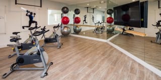 Citation Club Gallery 14