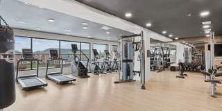 Wildwood Luxury Urban Homes Gallery 19