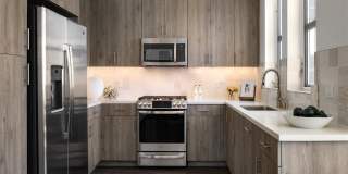 Springline Menlo Park Gallery 42