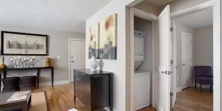 Rodgers Forge Gallery 8