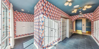 Fora Apartments Gallery 15