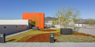 The Brand Gallery 14