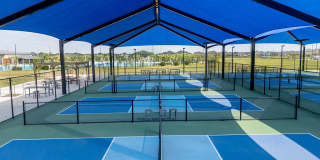 Eden at Sunterra Gallery 45