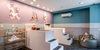 Berkshire Dilworth Gallery 15