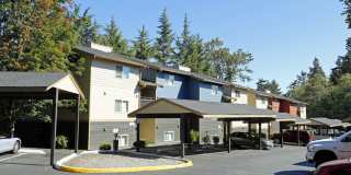 Homestead Apartments Gallery 14