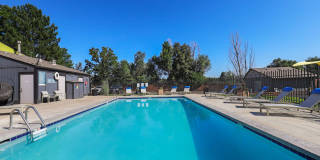 The Modern Gallery 34