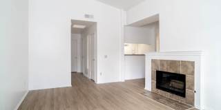 Windridge Gallery 41