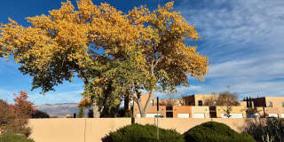 2700 Vista Grande Dr NWUnit #55 Gallery 39
