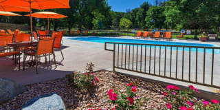 Woodland Hills Apartments Woodland Hills Apartments Gallery 20