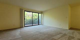 Conveniently located South Kirkland near Downtown-Laurel Park Gallery 7