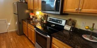 50 Barrett St Gallery 1