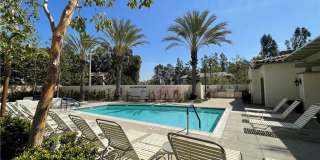 12531 Elevage Drive Gallery 1