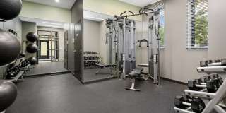 Reside on Clarendon Gallery 19