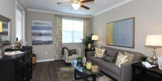Paseos At Magnolia Luxury Apartment Homes Gallery 31