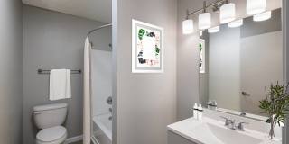 Park Village Gallery 17