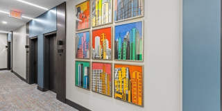 Gridline Gallery 31